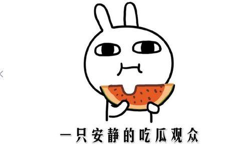 吃瓜事件网红,揭秘吃瓜网红背后的故事