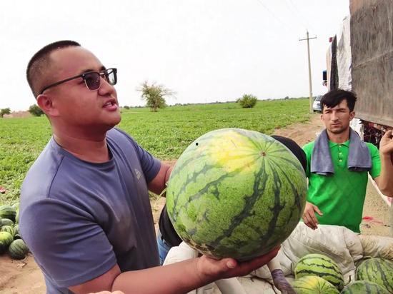 每日聪慧吃瓜山东,揭秘山东美食背后的故事与智慧