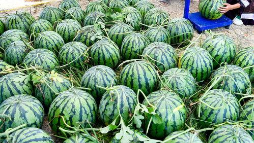 吃瓜合集.中国,揭秘中国网络热点背后的故事