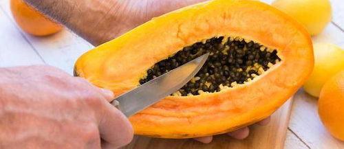 吃瓜奶龙,一场味蕾与视觉的盛宴