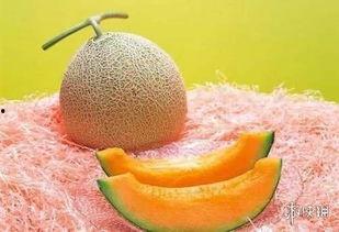 球拍吃瓜,揭秘球拍与瓜果的奇妙邂逅