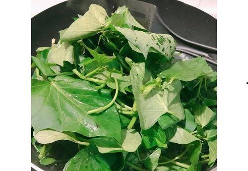 大城最近吃的瓜,揭秘近期热门瓜料背后的故事