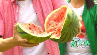 天津静海吃瓜爆料,吃瓜群众揭秘当地热点事件