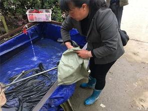 五一快乐吃瓜群众,全民吃瓜盛宴