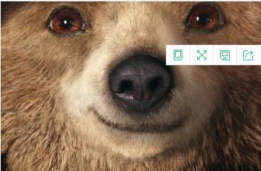 吃瓜小熊电影,揭秘娱乐圈背后的秘密