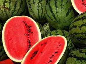 一挑四吃瓜,揭秘娱乐圈背后的惊人真相