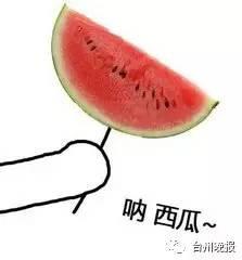 砸头吃瓜,揭秘网络热词背后的趣味与思考