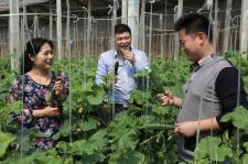 山东枣庄吃瓜视频,一场视觉与味觉的双重盛宴