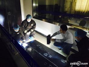 吃瓜破案 九零刑侦